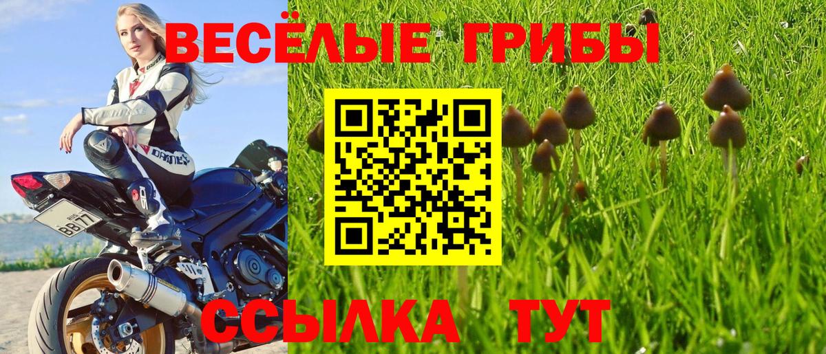 Псилоцибиновые грибы GOLDEN TEACHER Строитель