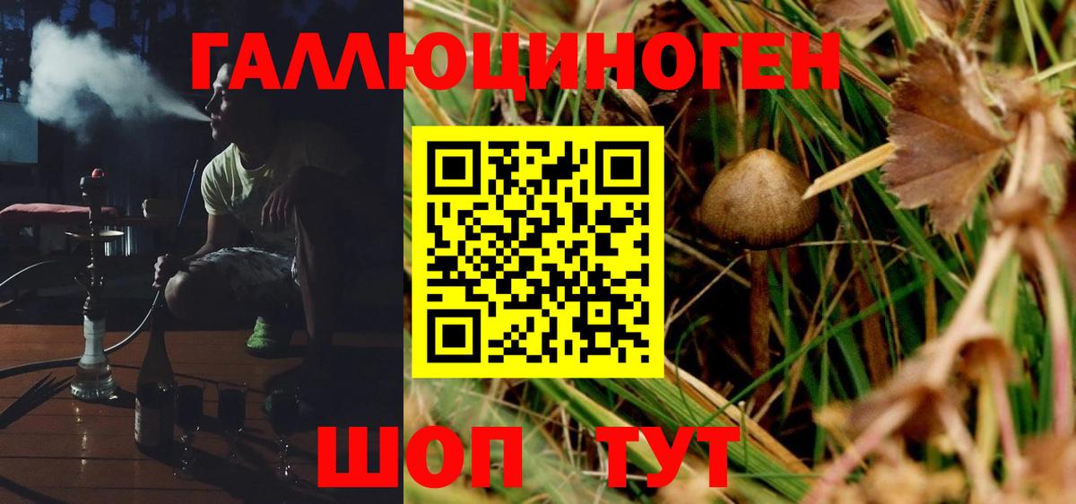 Псилоцибиновые грибы Magic Shrooms  Вход с VPN  Строитель 